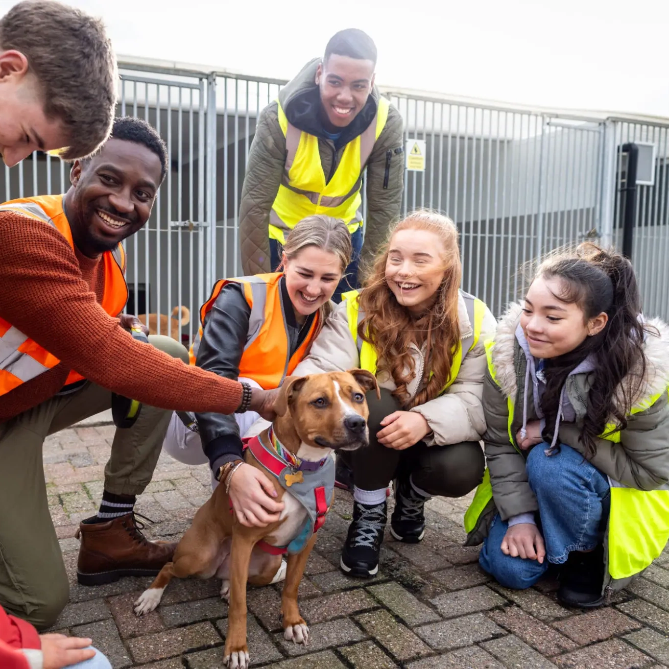 Group of people petting a dog